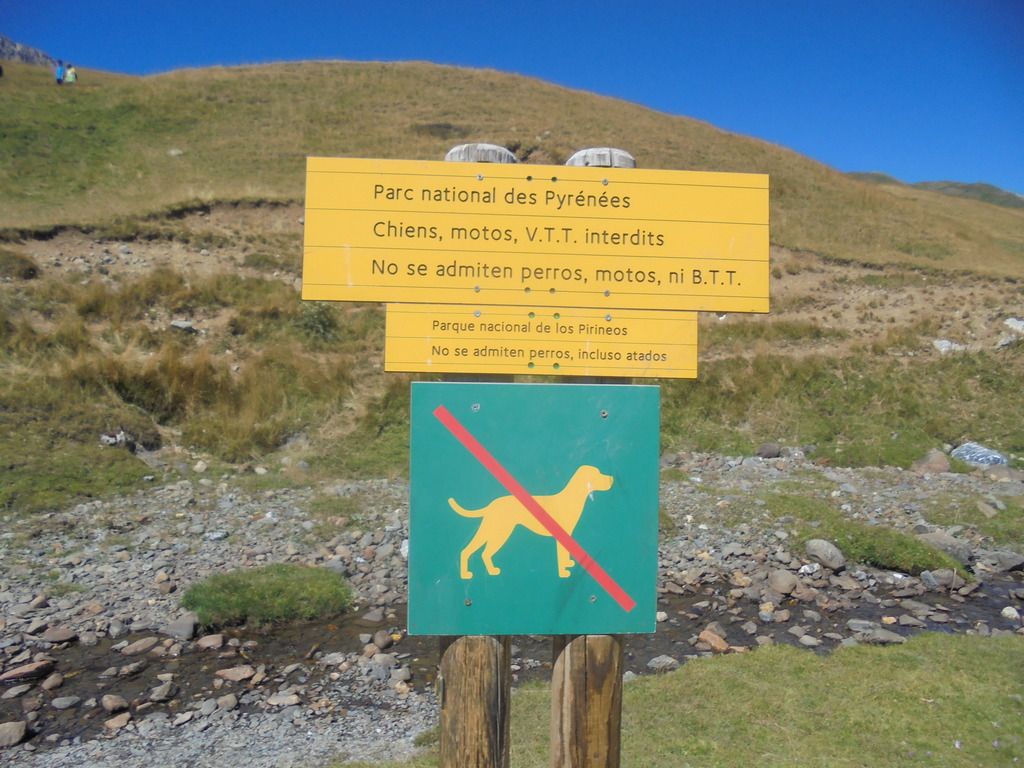 photo FRONDELLAS - MIDI DacuteOSSAU 07-08-16 170_zpsgqdqjfiv.jpg
