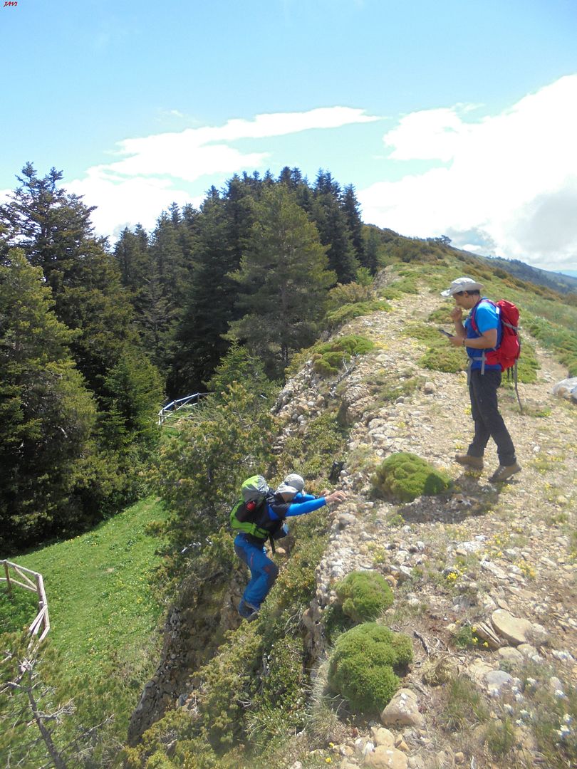 photo ASPE - OROEL 28-05-16 068_zpsjslkzicd.jpg