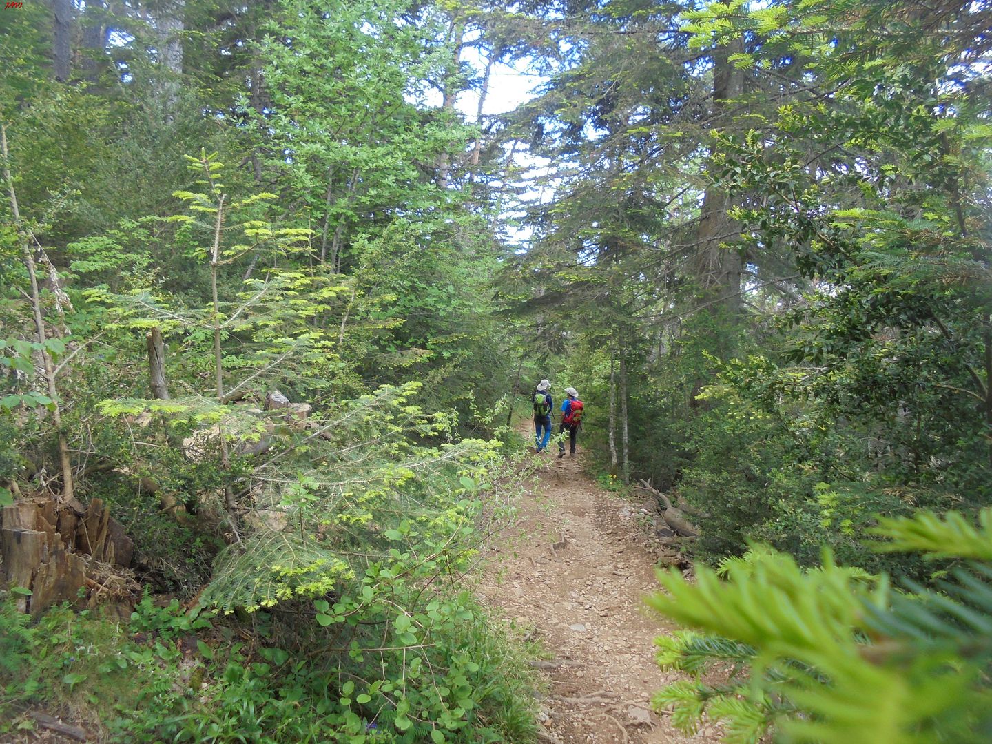 photo ASPE - OROEL 28-05-16 106_zpsvcuykgfa.jpg