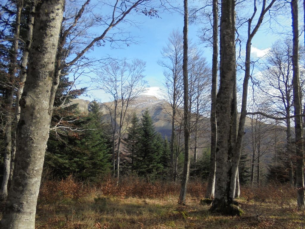 photo SELVA IRATI - PICO ORHY 19-11-16 218_zpsjqr4bpbf.jpg