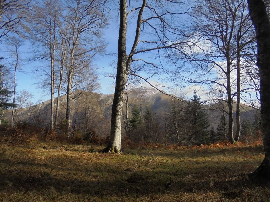 photo SELVA IRATI - PICO ORHY 19-11-16 219_zpsdu51ci4d.jpg