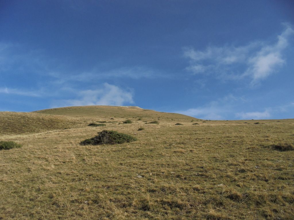 photo SELVA IRATI - PICO ORHY 19-11-16 221_zpslt2zbtgj.jpg
