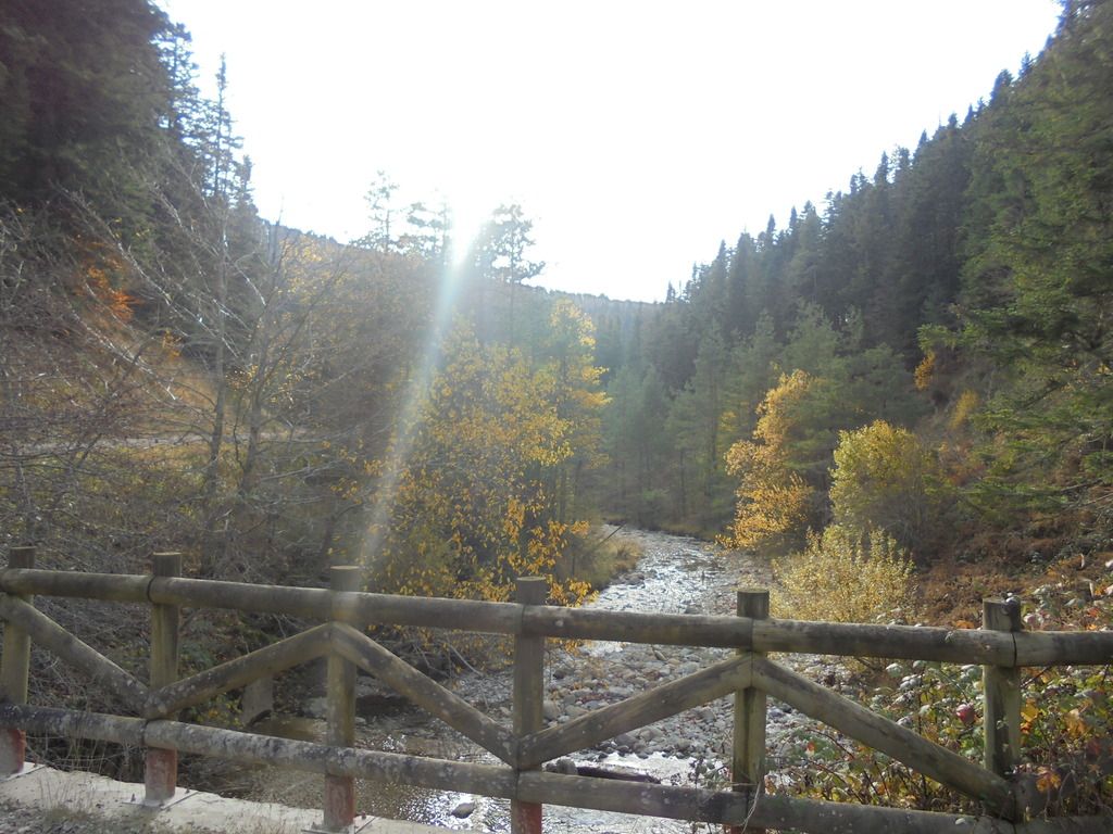 photo SELVA IRATI - PICO ORHY 19-11-16 232_zpsv6euezcs.jpg