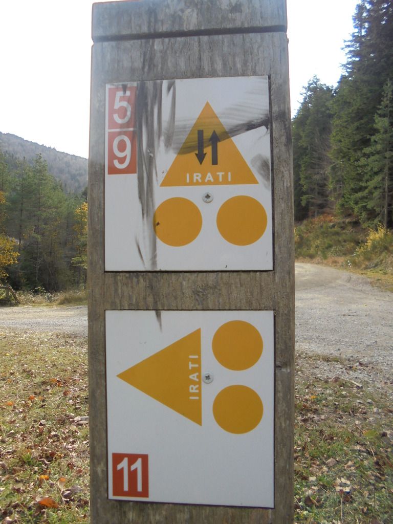 photo SELVA IRATI - PICO ORHY 19-11-16 233_zpsglcuhvni.jpg