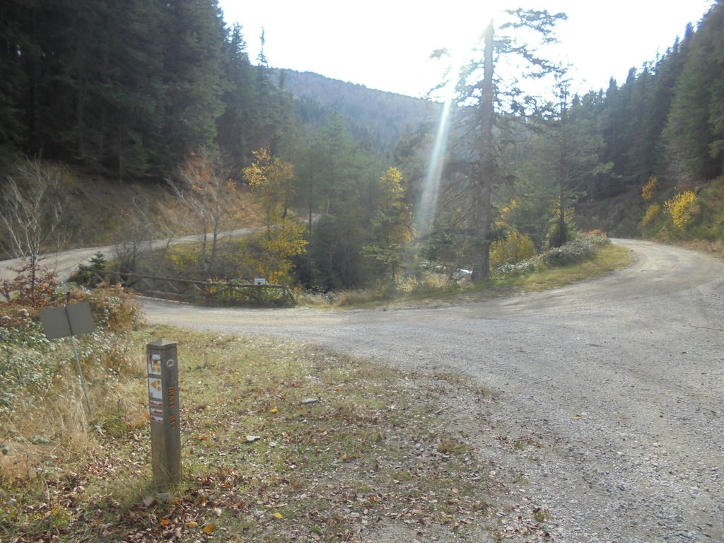 photo SELVA IRATI - PICO ORHY 19-11-16 235_zpsslmcylsm.jpg