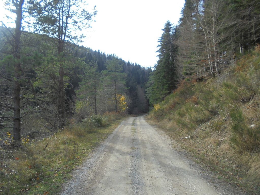 photo SELVA IRATI - PICO ORHY 19-11-16 238_zpsjlyfq3kh.jpg