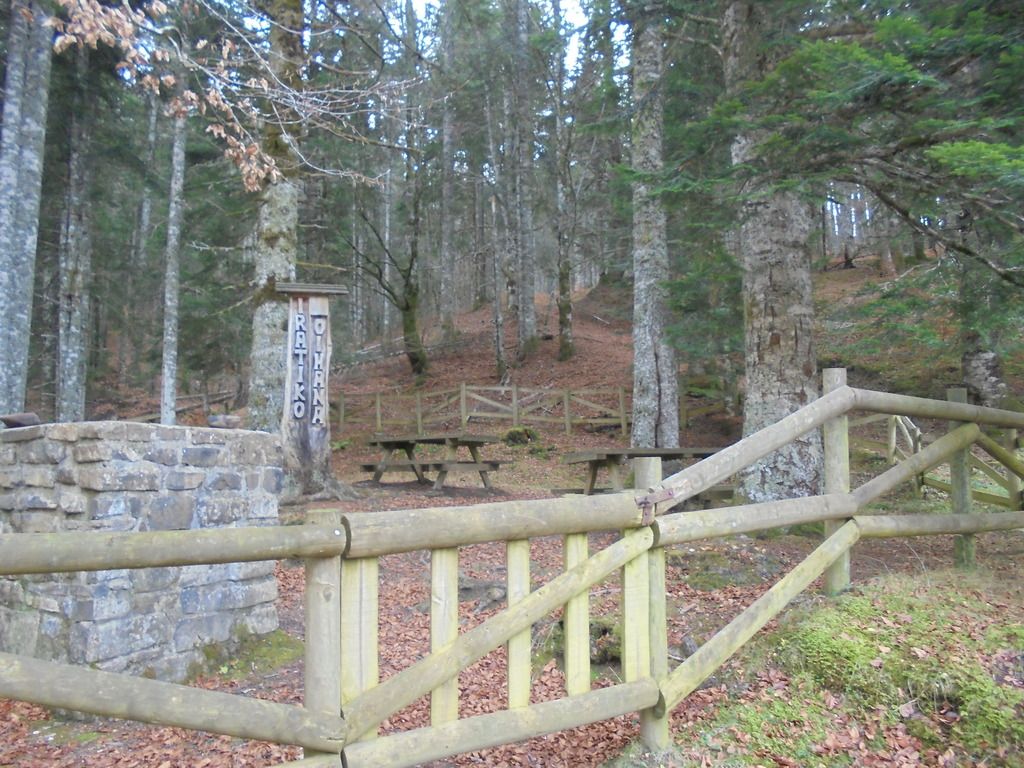 photo SELVA IRATI - PICO ORHY 19-11-16 239_zpssuojgypk.jpg