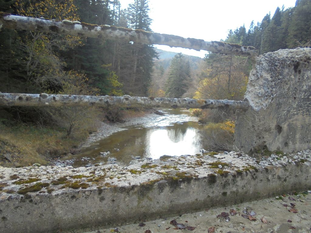 photo SELVA IRATI - PICO ORHY 19-11-16 245_zpsrka1bktj.jpg