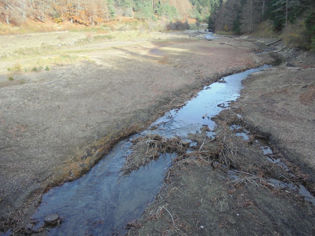 photo SELVA IRATI - PICO ORHY 19-11-16 250_zpsgu5ozzzt.jpg