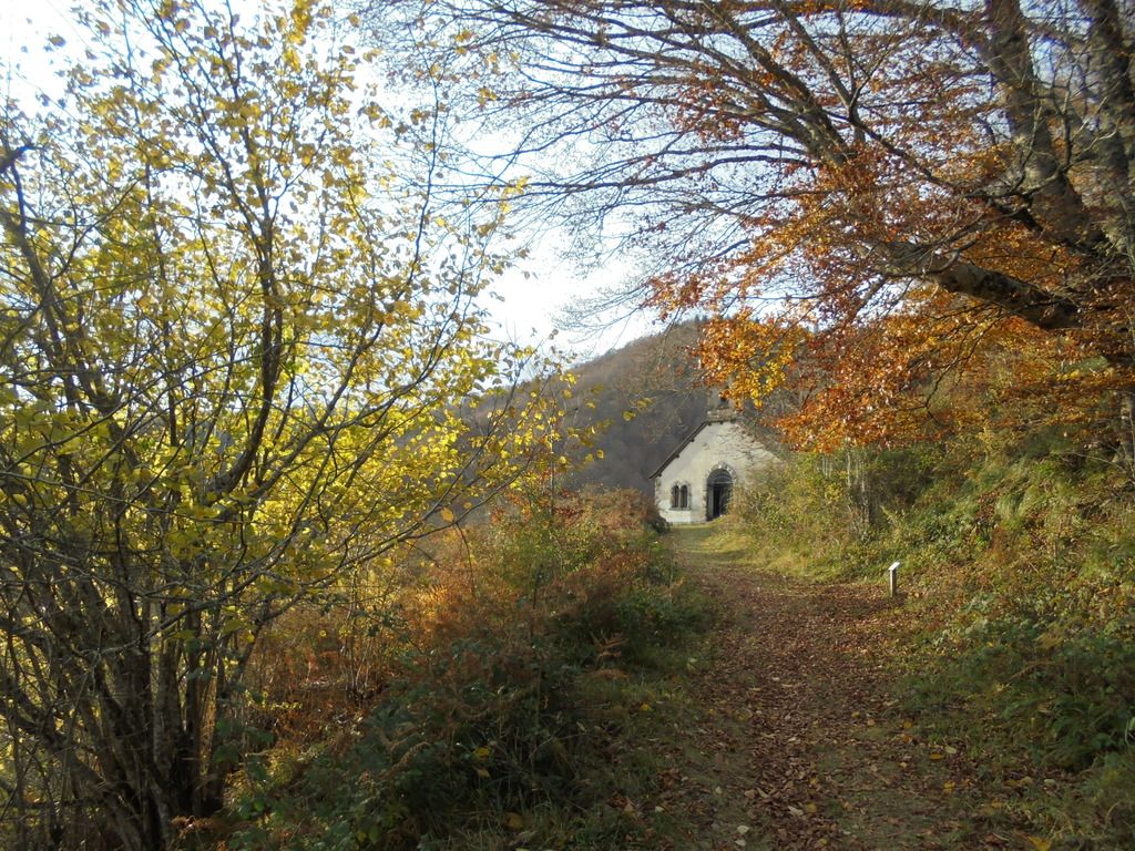 photo SELVA IRATI - PICO ORHY 19-11-16 276_zps3w42wzzu.jpg