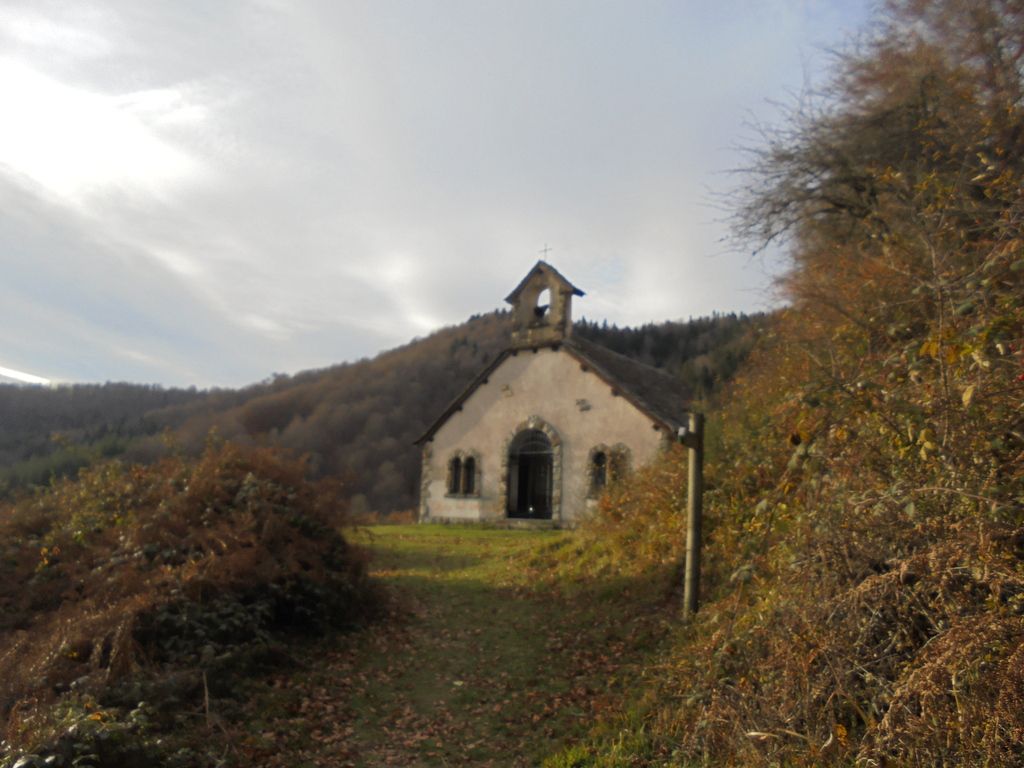 photo SELVA IRATI - PICO ORHY 19-11-16 279_zps44fsl1o1.jpg