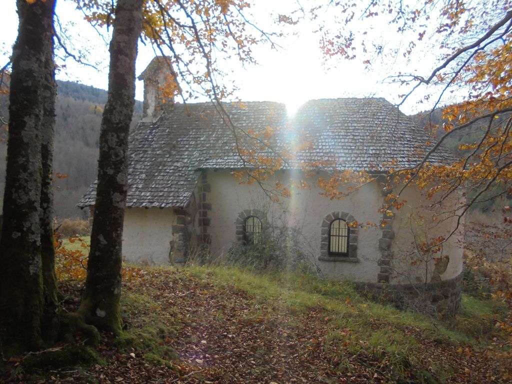 photo SELVA IRATI - PICO ORHY 19-11-16 286_zpsvyabv503.jpg