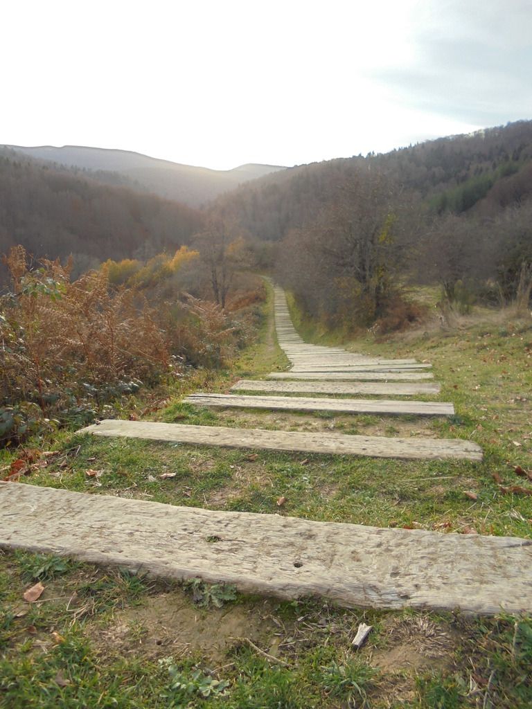photo SELVA IRATI - PICO ORHY 19-11-16 289_zps2xg0iuh0.jpg