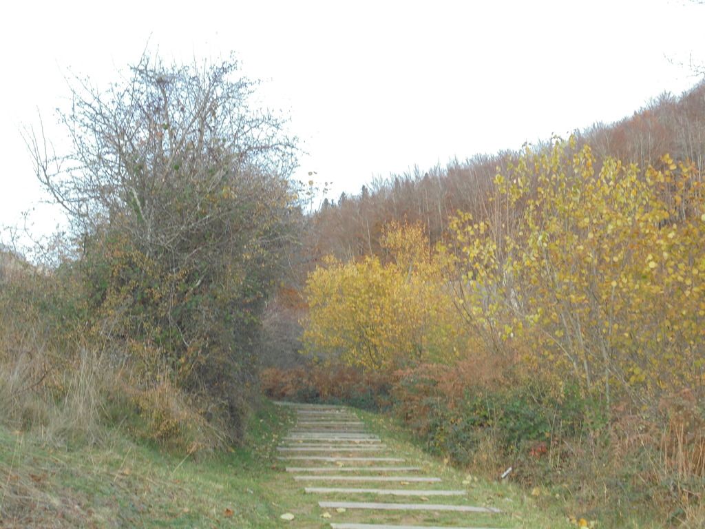 photo SELVA IRATI - PICO ORHY 19-11-16 299_zpsv16cg68c.jpg