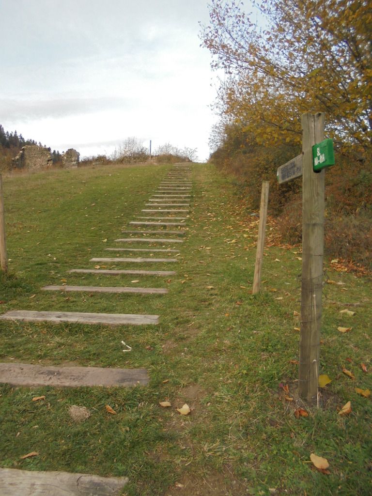 photo SELVA IRATI - PICO ORHY 19-11-16 303_zpskdejapr2.jpg