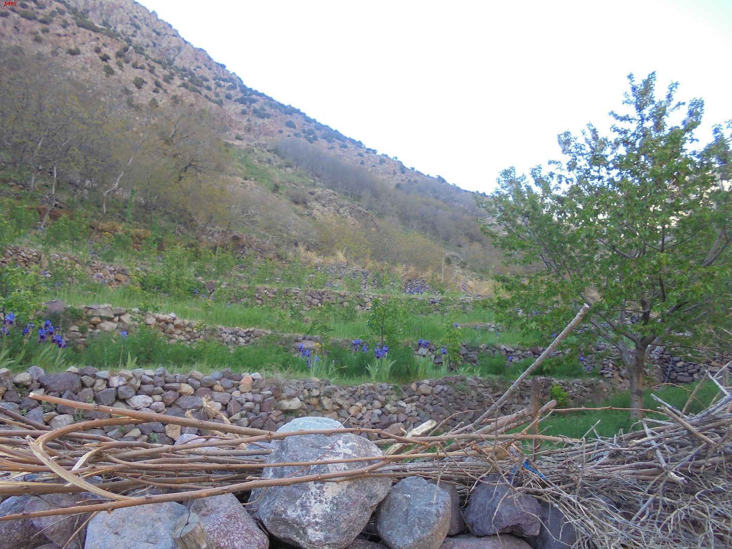 photo TOUBKAL 2016 096_zpsu6jjx2fo.jpg