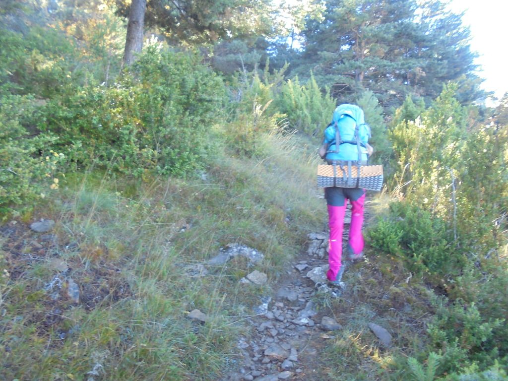 photo DSC08551_zpsfbzqauvz.jpg