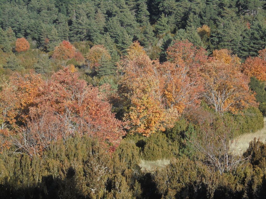 photo DSC08615_zps4ummti3v.jpg