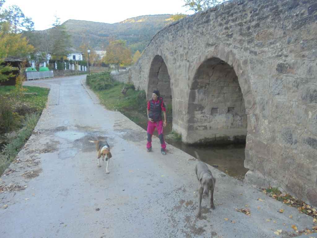 photo DSC08645_zpscbrtkgnr.jpg