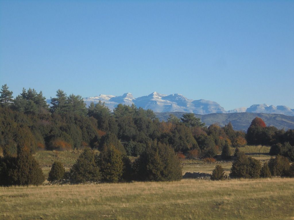 photo DSC08667_zpsimrtsct3.jpg