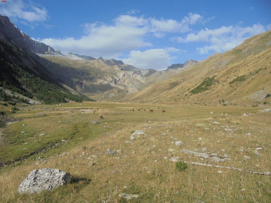 photo GRAN TAPOU - MILLEU - BERNATUARA 27-08-16 241_zps87qa3rm2.jpg